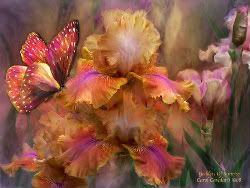 Прогноз на 18 октября 2010 Photobucket