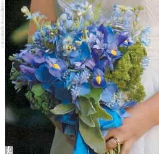 flowers Pictures, Images and Photos