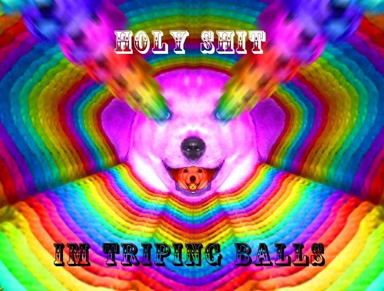 Forum Image: http://i643.photobucket.com/albums/uu152/EvilOne5234/Triping.jpg