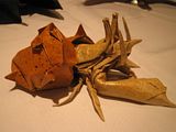 PCOC origami crab
