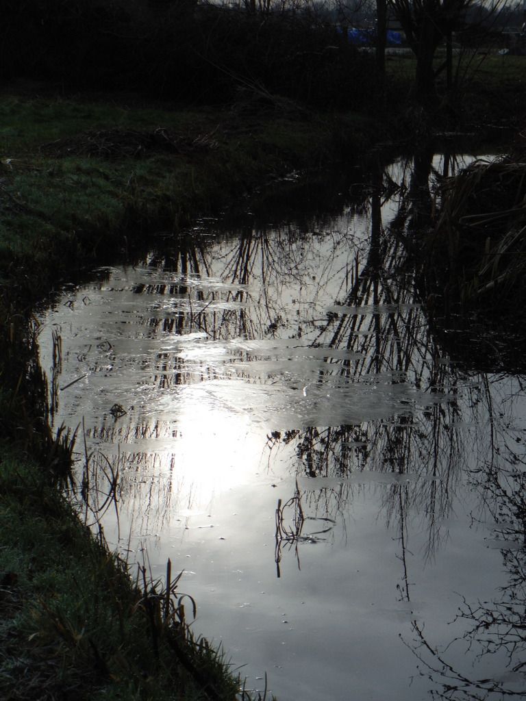 DSCF1940.jpg