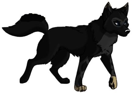 Nightstalker photo wolfedited.jpg