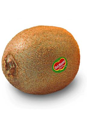 Kiwi.jpg