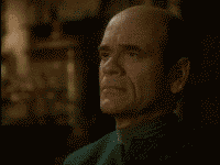 giphy_3.gif