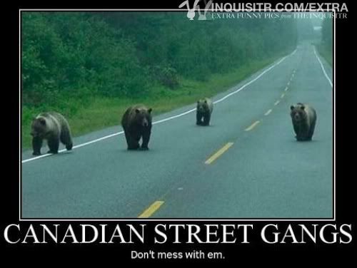 canadian street