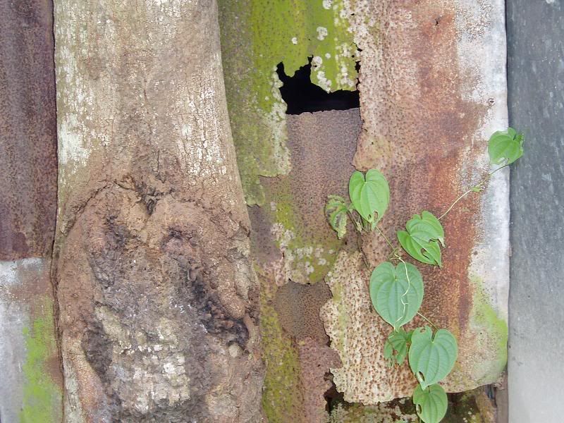 Chuyến đi từ thiện _ Chung tay vì cộng đồng - 10