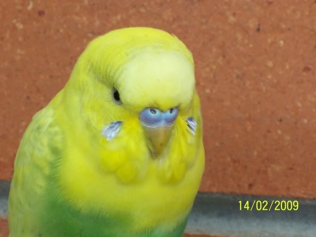 100_1554.jpg