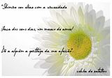 DA_NET-s.jpg image by PATOLA_2009