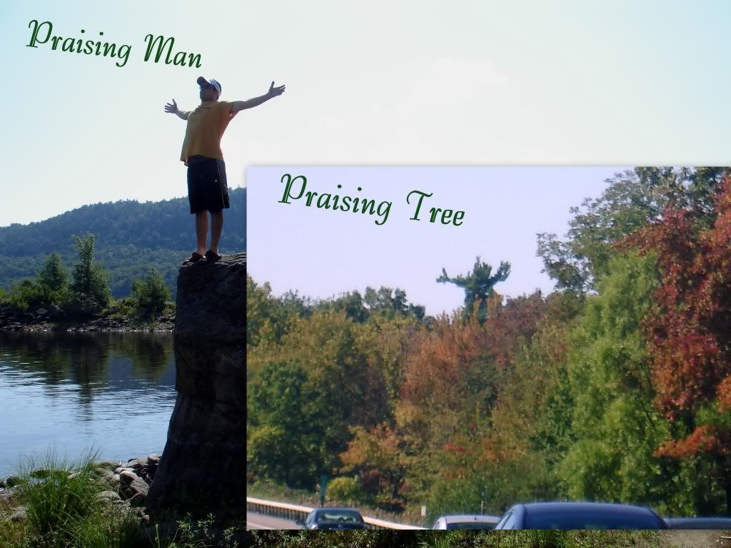 praise tree, jason
